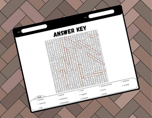 Body Parts of a Sand Flea Worksheets | Labeling Activity, Word Search ...