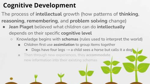 Process of intellectual development shop