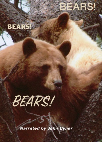 Bears! Bears! Bears! By Mother Nature's World Of Wildlife 