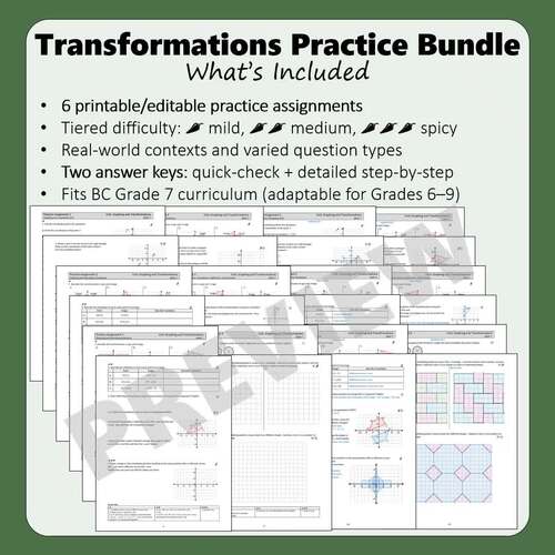 Graphing & Transformations Leveled Practice Assignment Bundle | Math 7 BC