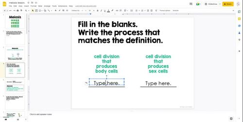 Meiosis Interactive Lesson