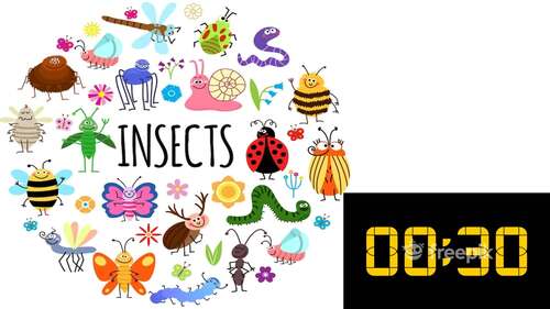 Insect Explorers - An Exciting ESL PowerPoint by Teacher Siska | TPT