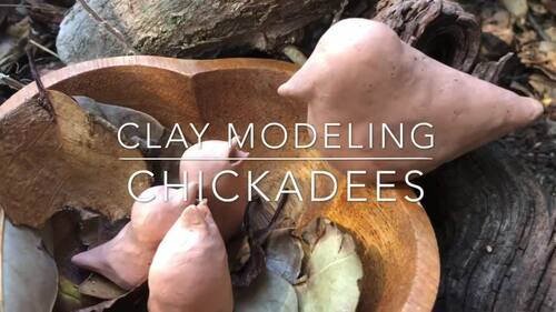 Preview of Clay Modeling of Chickadee Video | Art Lesson 1 of 5 | Rick Tan | Waldorf