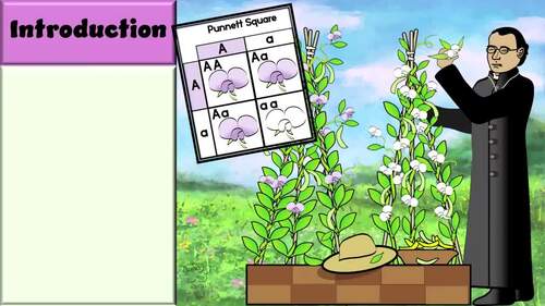 Non-Mendelian Genetics PowerPoint Slideshow | Incomplete Dominance