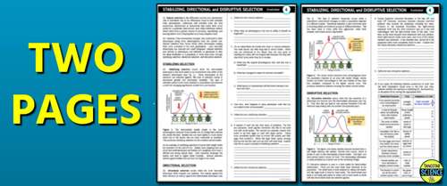 Stabilizing, Directional & Disruptive Selection - Evolution Learning Module 4
