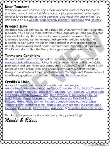 Spider Life Cycle Activity by Nicole and Eliceo | TpT