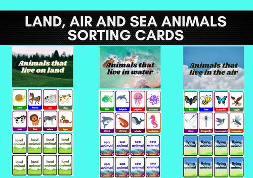 Land, Air, Sea Animals Sorting Cards (with photos) Flash Cards | Fun Stuff