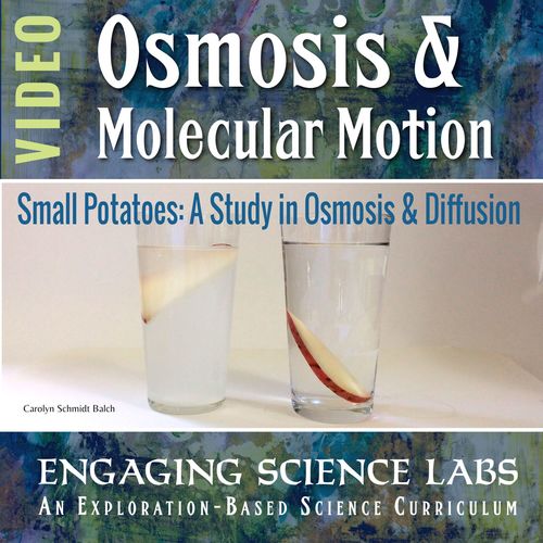Preview of Osmosis Lab—Investigating Diffusion and Osmosis w/ Potatoes—Video & Written Inst