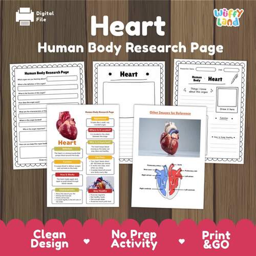 Heart Human Body Research Project | Circulatory System Science ...