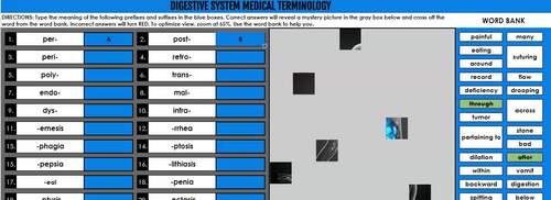 Digestive System Medical Terminology Mystery Picture Reveal | TPT
