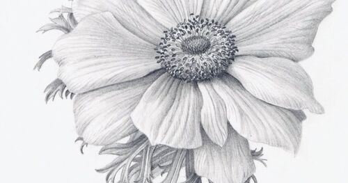 Preview of Drawing Level 2/ Depicting Light and Shadow