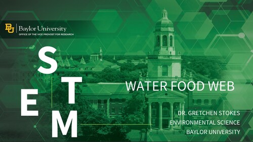 Preview of Water Food Web: Dr. Gretchen Stokes: Fish Ecology Research and Activity