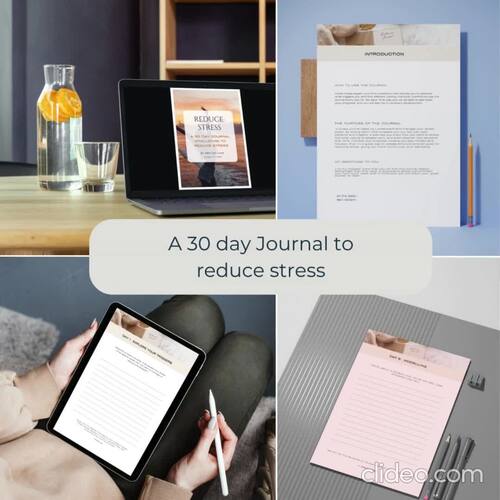 30 day Journal challenge to reduce stress ! by 4Coaching | TPT