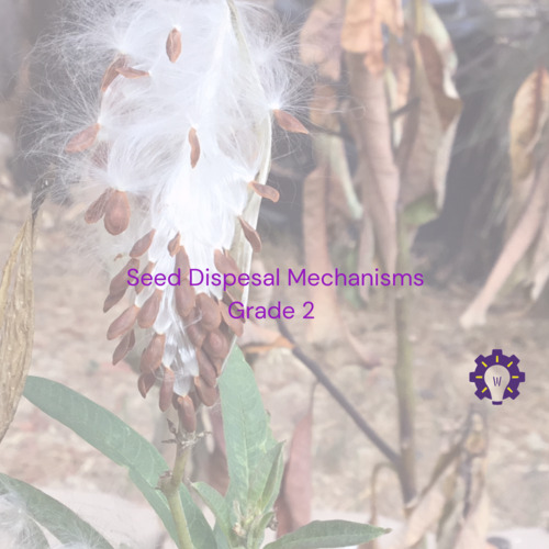 Preview of Introduction to Seed Dispersal for Grade 2
