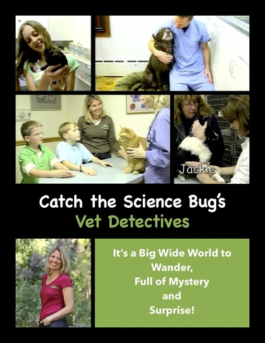 Preview of Vet Detectives