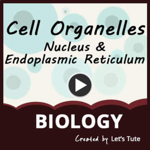 Cell Organelles And Functions Nucleus Endoplasmic Reticulum Biology