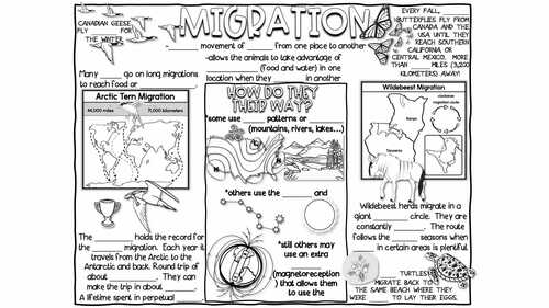 Migration Doodle Notes & Quiz + PowerPoint | Differentiated | Animal Adaptations