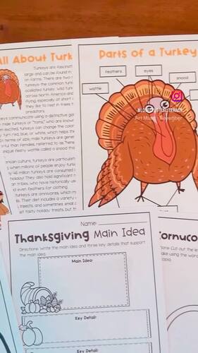 Thanksgiving Reading Math Writing Activities Disguise a Turkey ...