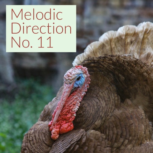 Preview of Melodic Direction No. 11 (Turkey visual)