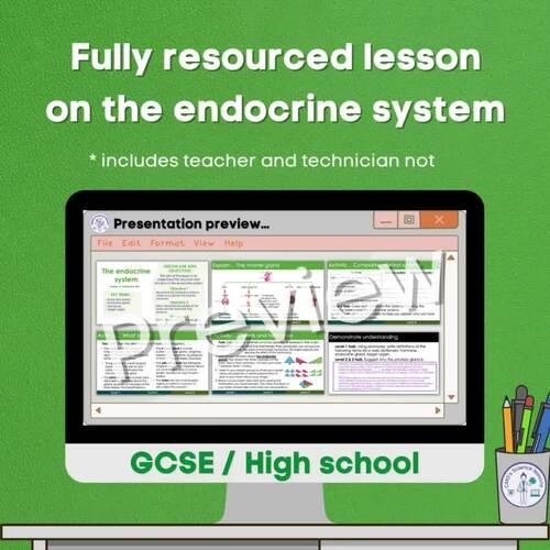 The endocrine system by CMGs Science lessons | TPT
