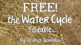 Doodles Notes - Water Cycle Freebie!