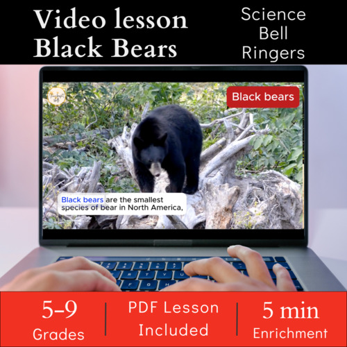 Preview of Science bell ringer video (4 min) - Black bears - Middle school