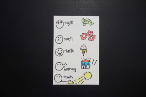 Preview of Let's Draw The 5 Senses with 5 Examples!