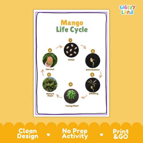 Mango Life Cycle Activity Cut and Paste Worksheet Science Tropical ...