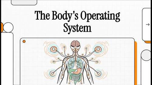 Nervous System Introduction