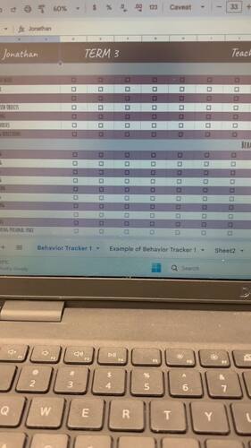 Editable Behavior Tracker - Google Sheets - Behavior Management- Data Collection