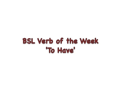 Preview of BSL explanation of the VERB to have