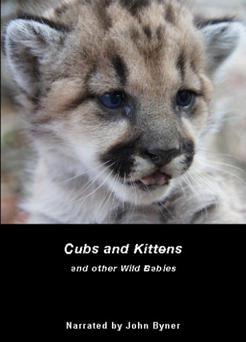 Preview of Cubs and Kittens...and other Wild Babies