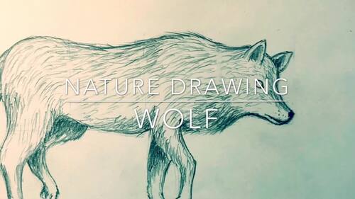 Preview of Pencil Drawing of Wolf Video | Art Lesson 4 of 5 | Rick Tan | Waldorf