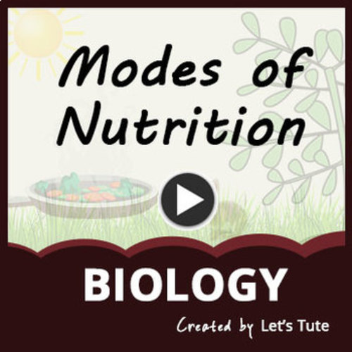 Modes of Nutrition - Biology (Science) by Letstute | TPT