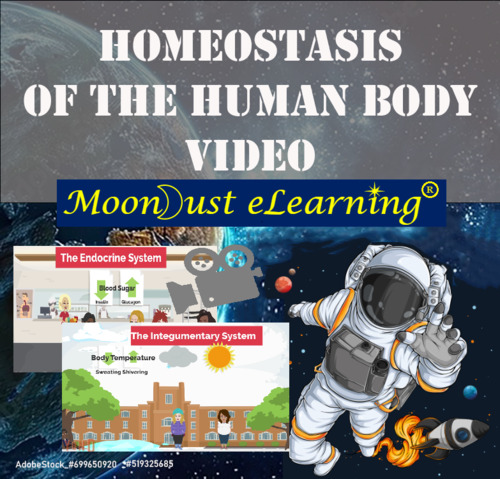 Preview of Homeostasis of the Human Body - VIDEO