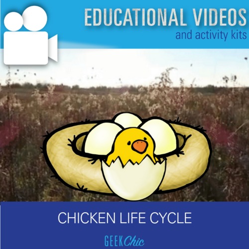 Preview of Biology Life Cycles: Chicken Life Cycle Video + Activities Kit