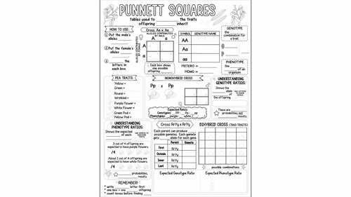 Punnett Squares Doodle Notes & Quiz + Slides | Genetics, Mendelian Inheritance