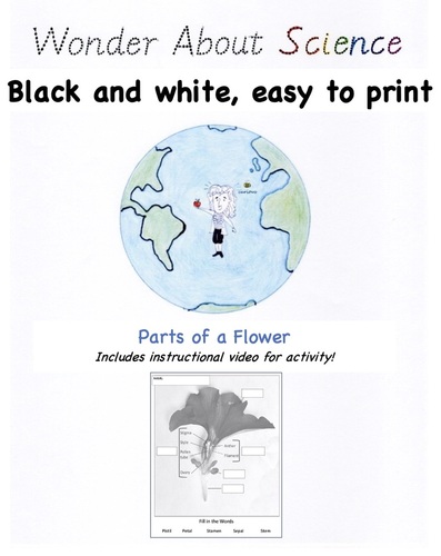 Preview of Flower Dissection Video and Worksheet