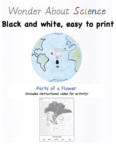 Preview of Plant Reproductive System: Flower Dissection Video and Worksheet