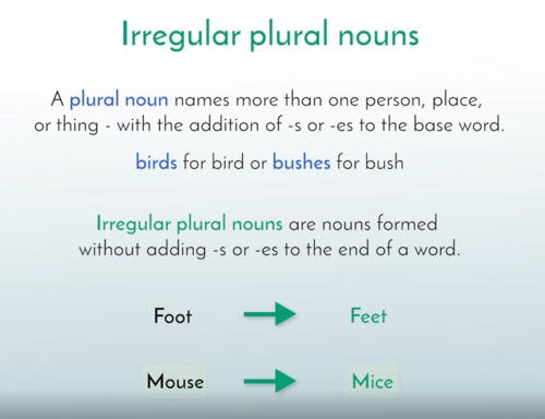 Preview of Use Irregular Plural Nouns