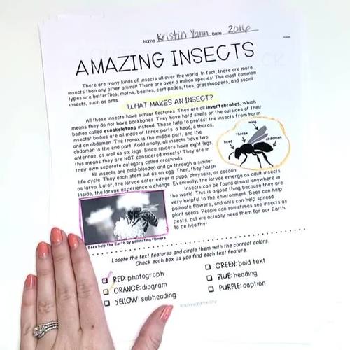 Nonfiction Text Features - Reading Passages Worksheets - ULTIMATE BUNDLE!
