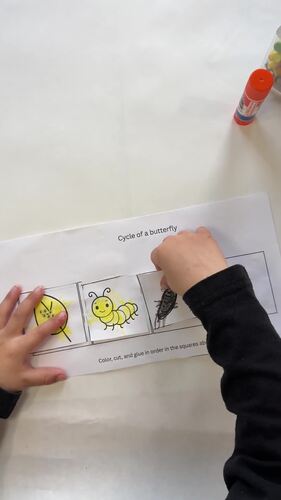 Life Cycle Toddler Activities & Lesson Plans Preschool Curriculum For April