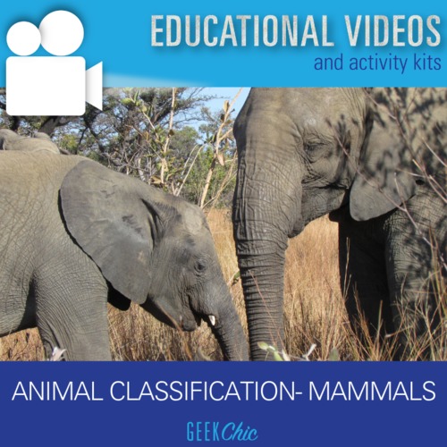 Preview of Animal Classification Mammals Video and Activities Kit!