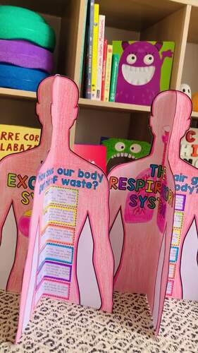 Human Body Systems Project Activity | Human Body 3D Diagrams Models Cut ...