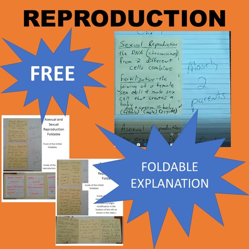 Preview of Reproduction (Asexual and Sexual) Foldable VIDEO