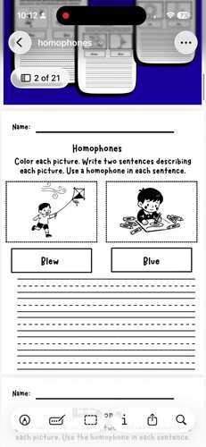 Homophones by Blaire Johns | TPT