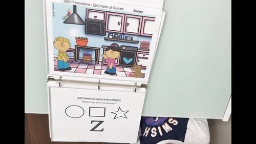 Preview of VIDEO VIGNETTE: Parts of Scenes and Prepositions: ABLLSR
