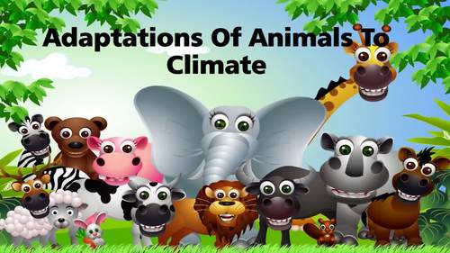 Adaptation of Animals to Climate Powerpoint by Cutemathematician