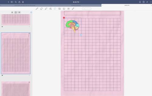 Biology Stickers Bundle, Digital Human Body Stickers, Assignment ...