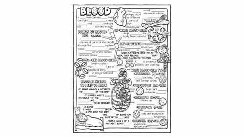 Blood Doodle Notes & Quiz | Visual Science Activity for Circulatory System
